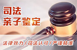 阿勒泰司法DNA亲子鉴定费用是多少钱免费咨询